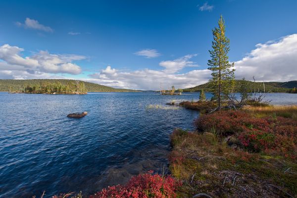Bratsk Reservoir