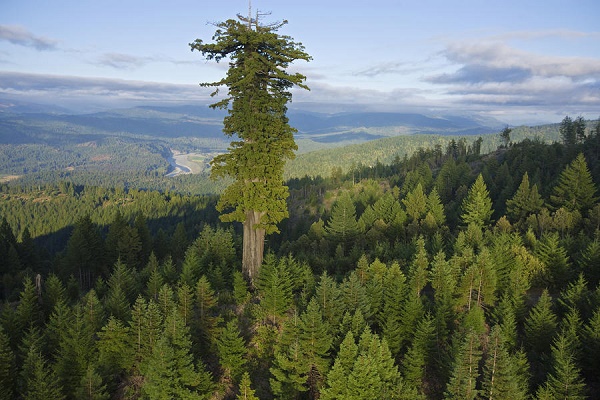 Mendocino